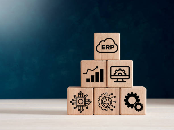 The Future of ERP Software and the Role of Generative AI